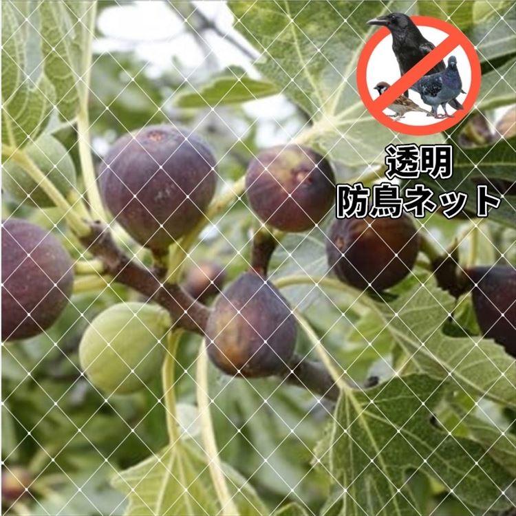 ベランダ鳥よけネット 防鳥ネット 防鳥網 2×50m 取り付け ベランダ鳥よけネット 防鳥ネット 防鳥網 2×50m 取り付け