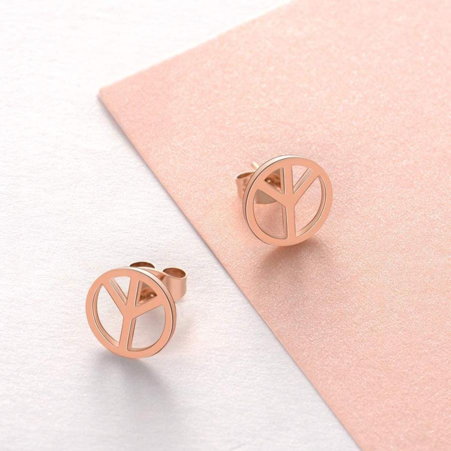 レディースピアス ハート テーマが人気 専用ボックス付き 愛と希望の象徴 耳飾り 可愛い キラキラ レーディズ 平和シンボルデザイン ピアス Thmuusvlrn レディースアクセサリー Www Seruun Mn