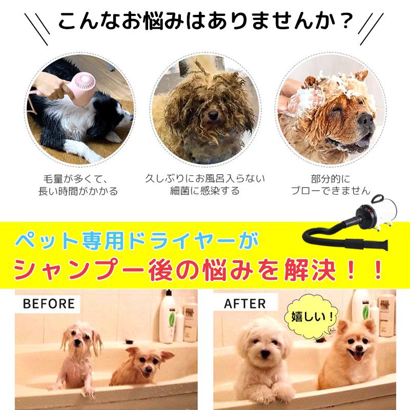 AORTD ペット用ドライヤー ペットドライヤー 置き型 猫 業務用 犬 ネコ 二年保証 温度調整 大風量 静音 1500W 最大風速70m/s 3種類ノズル 簡単操作  ペット用品｜wkj-ueno｜03