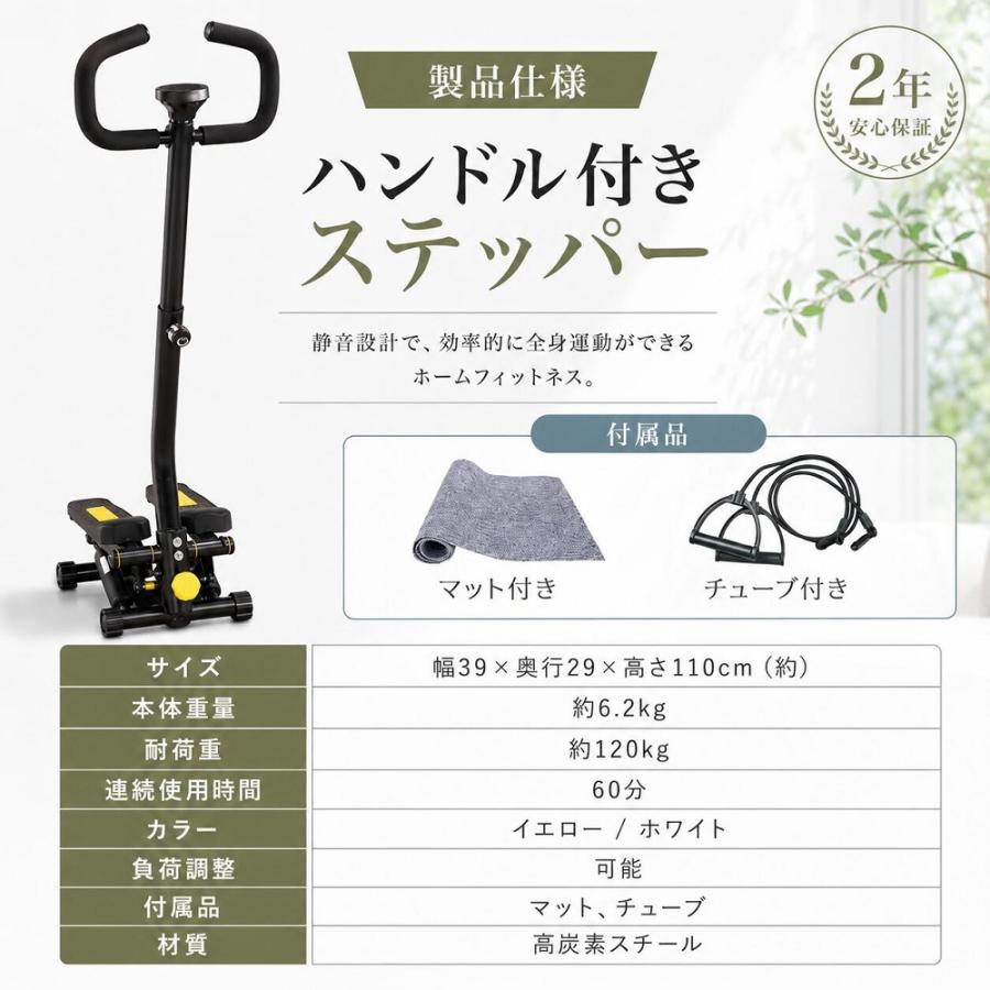AORTD ステッパー サイドステッパー ツイストステッパー 踏み台昇降