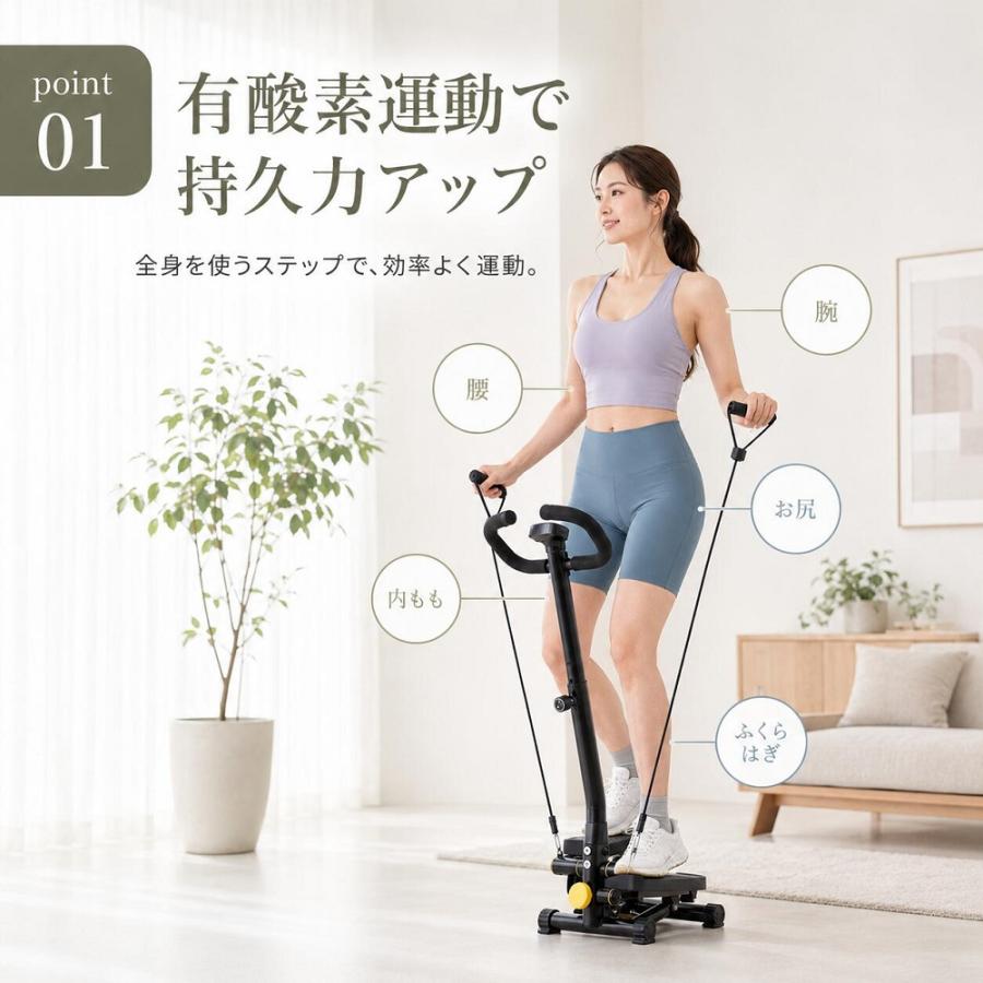 AORTD ステッパー サイドステッパー ツイストステッパー 踏み台昇降