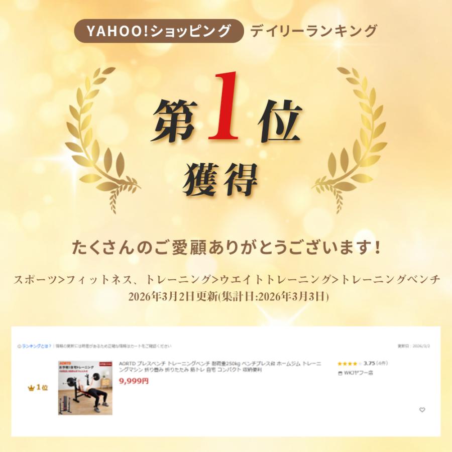AORTD プレスベンチ トレーニングベンチ 耐荷重250kg ベンチプレス台