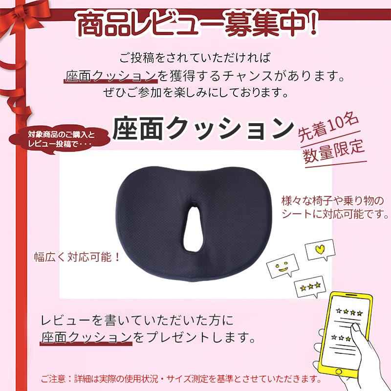 AORTD プレスベンチ トレーニングベンチ 耐荷重250kg ベンチプレス台