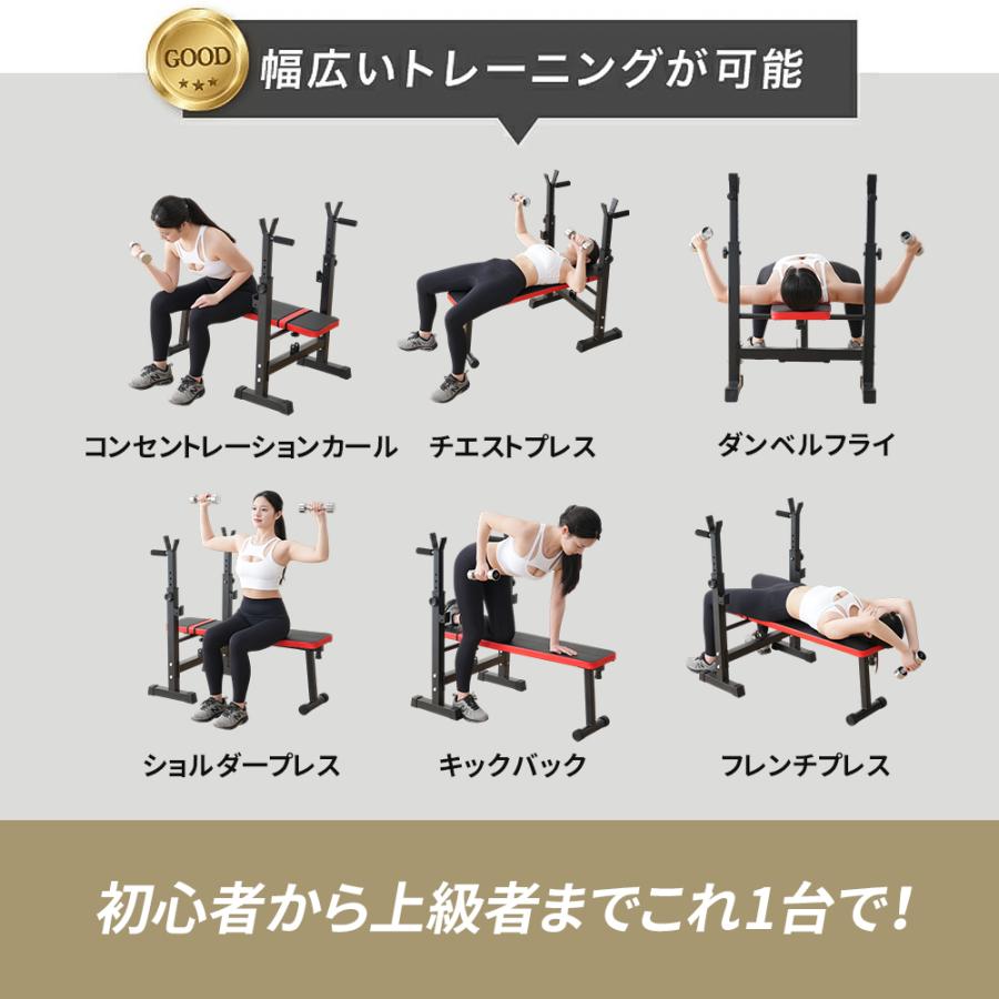 AORTD プレスベンチ トレーニングベンチ 耐荷重250kg ベンチプレス台