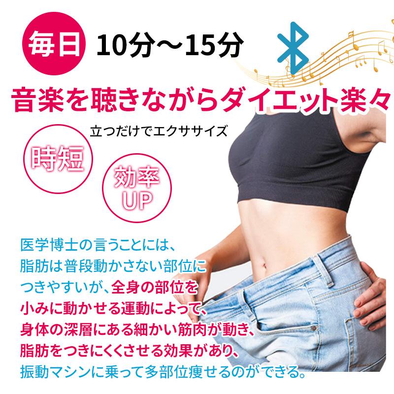AORTD 振動マシン 3d ミニ コンパクト ステッパー 二年保証 3Dマット