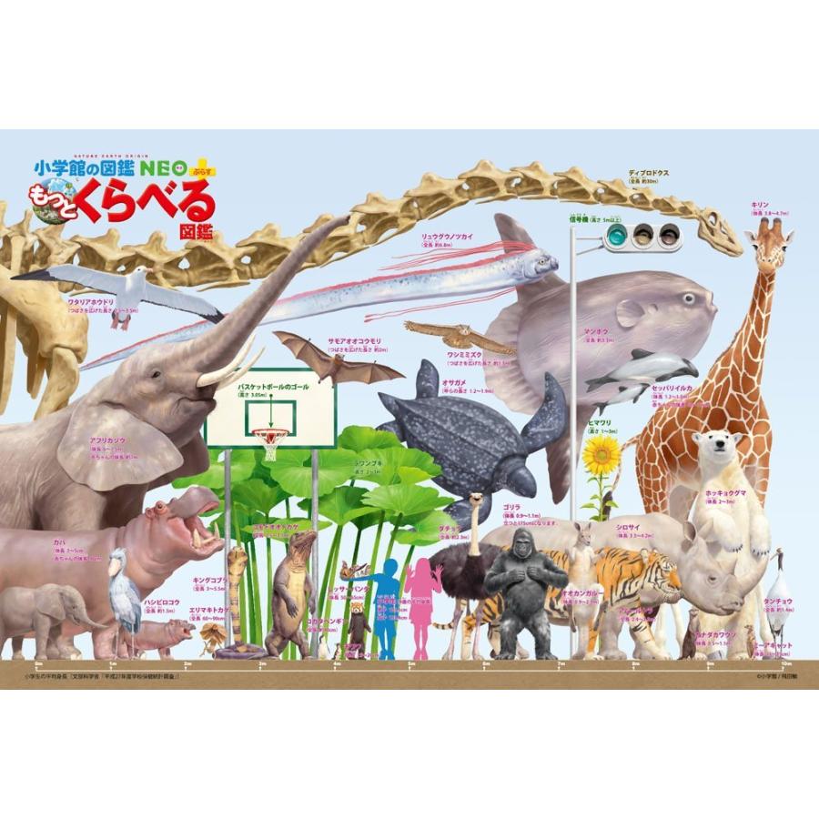 驚きの値段 150ピース ジグソーパズル もっとくらべる図鑑 いろいろ大きさくらべ ラージピース 26x38cm ワクワクインターナショナル 通販 Yahoo ショッピング 爆安プライス Outposttrade Com