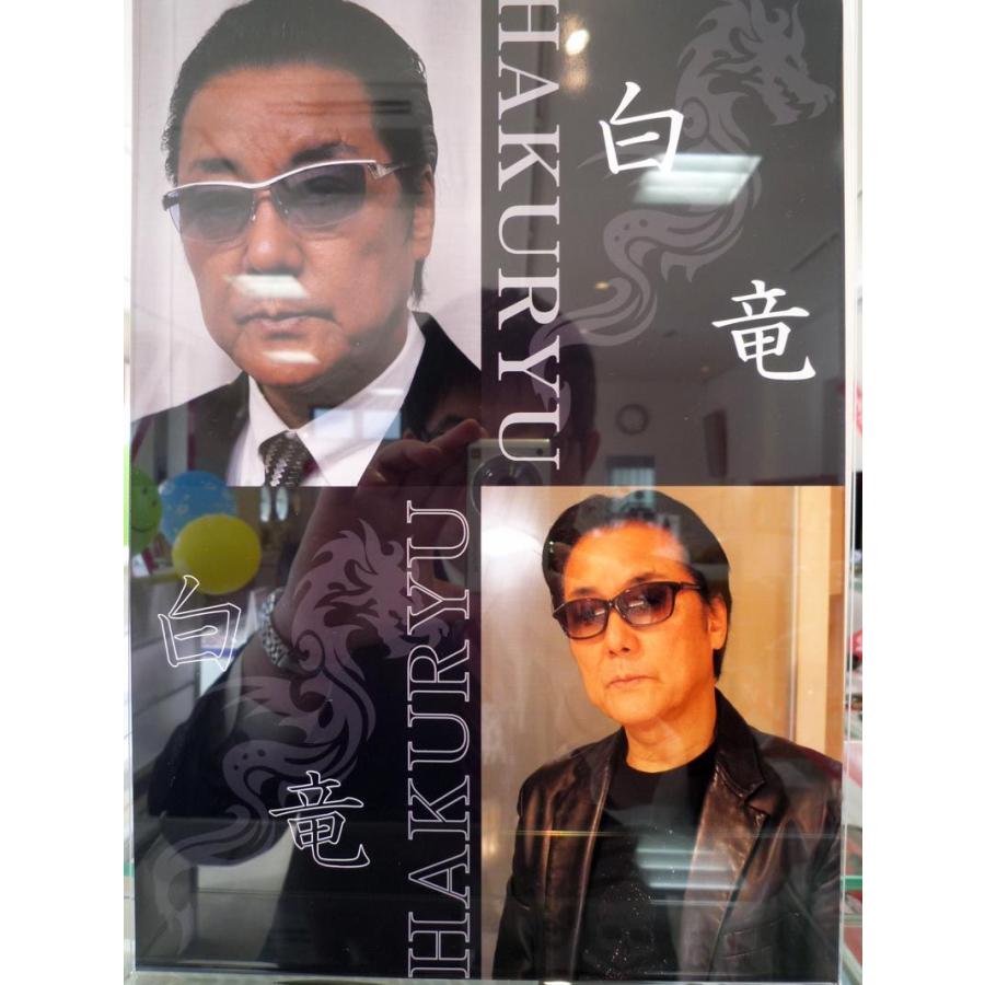 俳優「白竜」ブランドのサングラス WD-03 COL1 : メガネわくわく