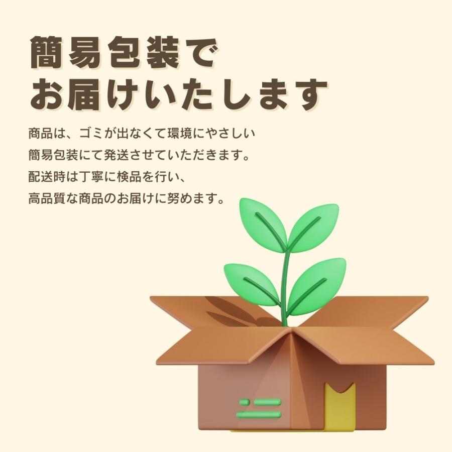 外反母趾 サポーター M サイズ 足指 寝るとき レディース 靴下 メンズ アーチ 広げる 痛い 親指 高齢者 小指 室内履き 内反小趾 保護 予防 グッズ｜wls｜11