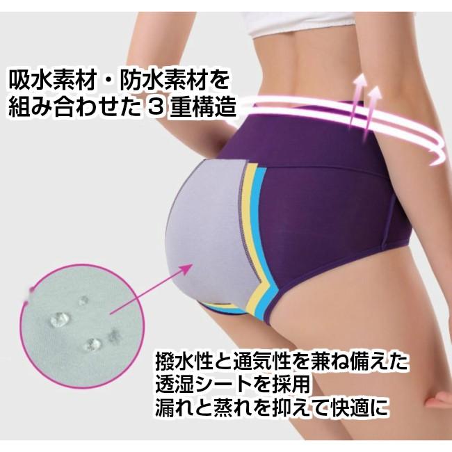 サニタリー ショーツ レディース 下着 パンツ 生理用ショーツ : Well