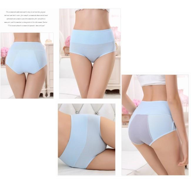 サニタリー ショーツ レディース 下着 パンツ 生理用ショーツ : Well
