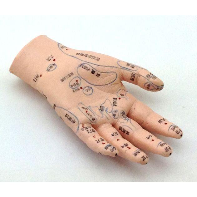 手ツボ マッサージ補助 経穴模型 手つぼ Tsubo Te Well Life Store