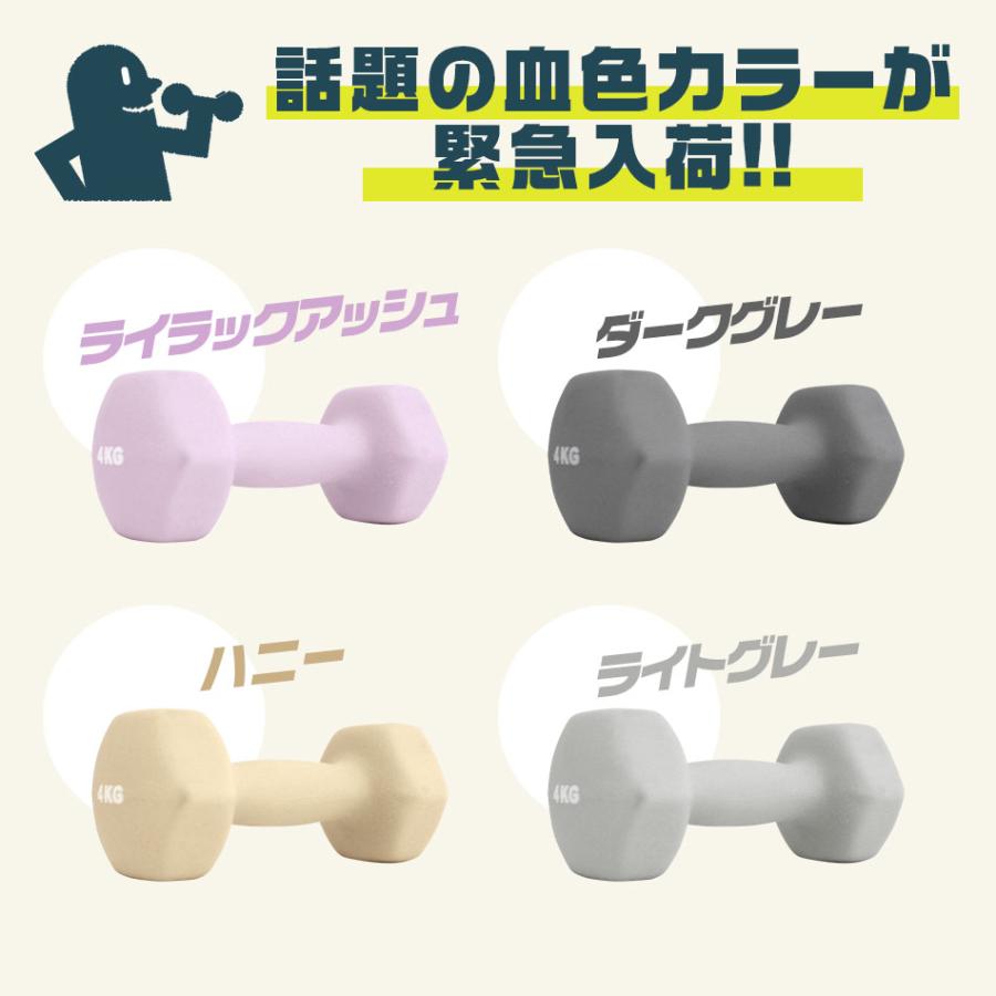 ウェイトトレーニング 筋トレ トレーニング器具 セット 楽天市場】Shie（ダンベル｜スポーツ器具）：フィットネス