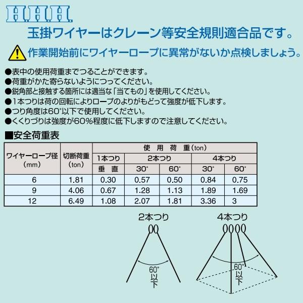 HHH スリーエッチ JISトゲ無し 玉掛けワイヤー 径12mm 長さ5m ZT12mm