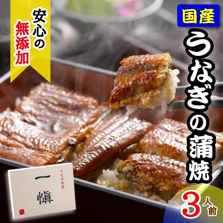 一愼、 お中元 2026 うなぎ 蒲焼き 国産 3人前 ギフト 鰻 うな重