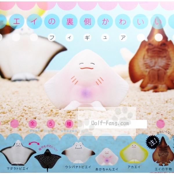 訳ありセール 格安 エイ の裏側がかわいい フィギュア 全5種 定形外発送