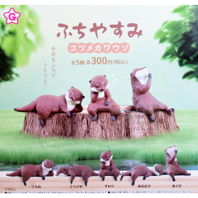 ふちやすみ コツメカワウソ 全5種 （定形外発送可 一配送累計 2セット