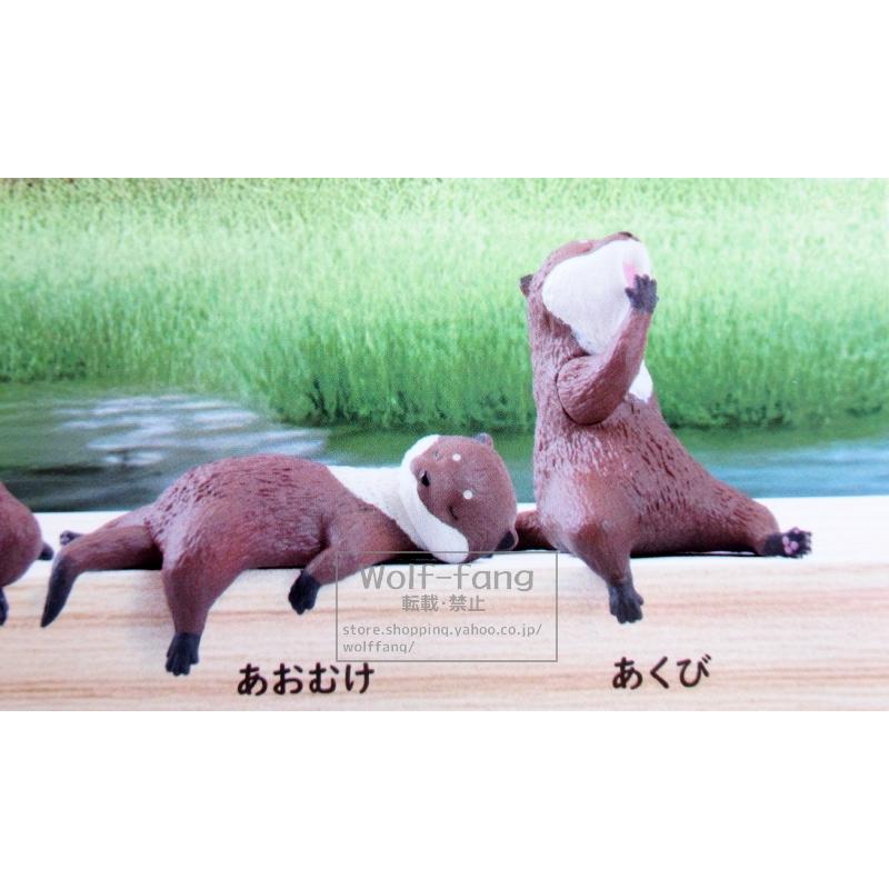 コツメカワウソ ふちやすみ コツメカワウソ 全5種 （定形外発送可 一配送累計 2セット