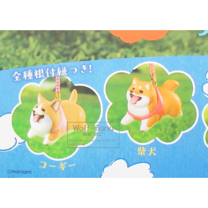 アニマルアトラクション もっちりフライング わんこストラップ 全5種
