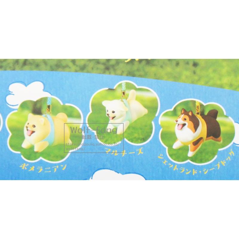 アニマルアトラクション もっちりフライング わんこストラップ 全5種