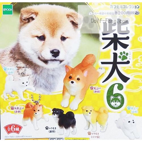 柴犬６ 全６種（定形外発送可 配送累計 ２セット分まで）｜wolffang