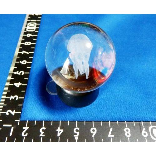 トップ100 ビゼンクラゲ 毒性 最高の花の画像