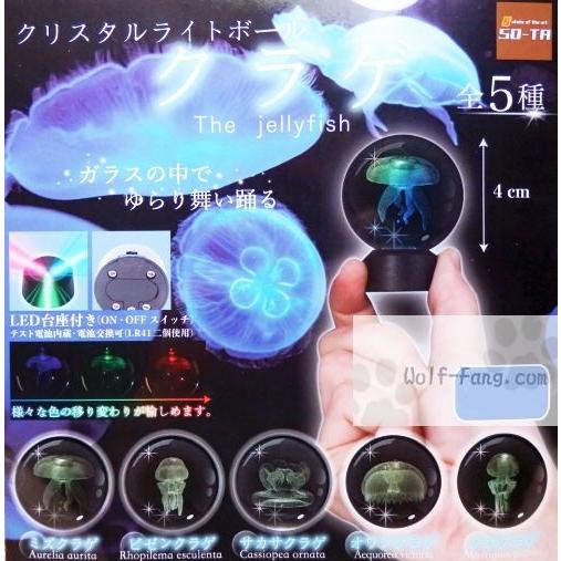 トップ100 ビゼンクラゲ 毒性 最高の花の画像