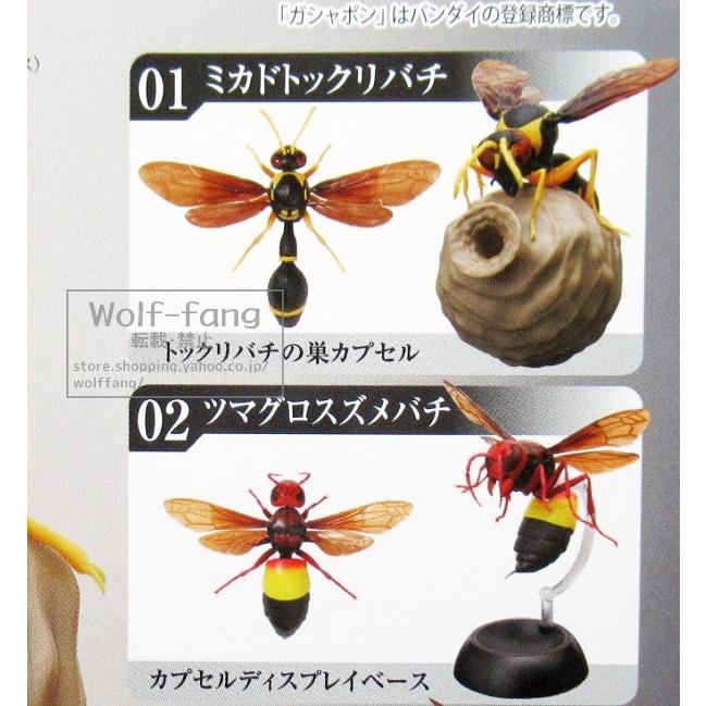 いきもの大図鑑 とっくりばち 2種 定形外発送可 配送累計 1セット分まで 売れ筋介護用品も