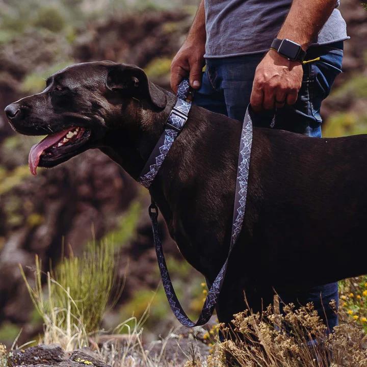 WOLFGANG ウルフギャング ModernCanvas Leash (Mサイズ) 巾2.5cm x 長さ122cm 中型、大型犬用リード