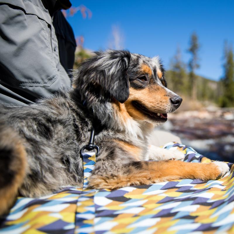 WOLFGANG ウルフギャング ModernCanvas Leash (Mサイズ) 巾2.5cm x 長さ122cm 中型、大型犬用リード