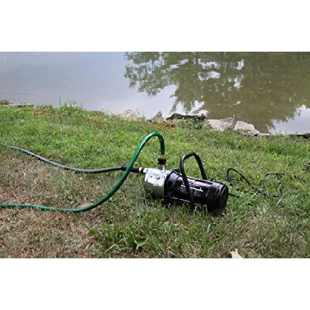 WAYNE　PLS100　HP　Stainless　Sprinkling　Steel　Lawn　Portable　Pump