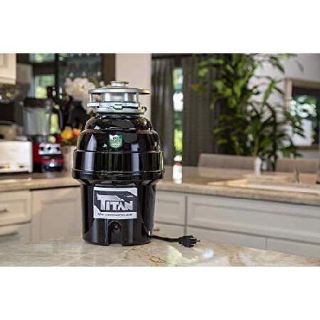 Titan　10-US-TN-T-960-3B　Garbage　Disposal,　with　Deluxe,　Sink　Flange　and　Steel　Guard　Stainless　Silver　Black　HP