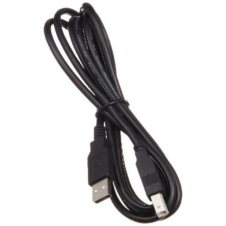 クアドキャプチャー オーディオインターフェイス Roland - QUAD-CAPTURE | USB Audio Interface [UA-55]