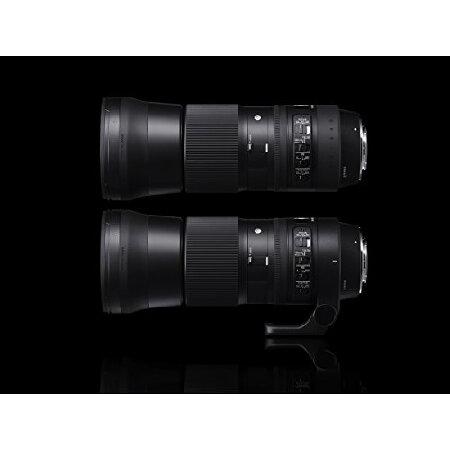 SIGMA 150-600mm F5-6.3 DG OS HSM | Contemporary C015 Nikon F SIGMA 150-600mm F5-6.3 DG OS HSM | Contemporary C015 Nikon F