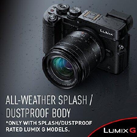 Panasonic LUMIX Gレンズ 25mm F1.7 ASPH ミラーレスマイクロ4/3 H-H025K (USAブラック) 12-60MM ブラック H-FS12060｜wolrd｜02