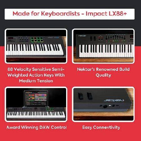 Nektar Impact LX88+ 88キー フルサイズ ベロシティセンシブ
