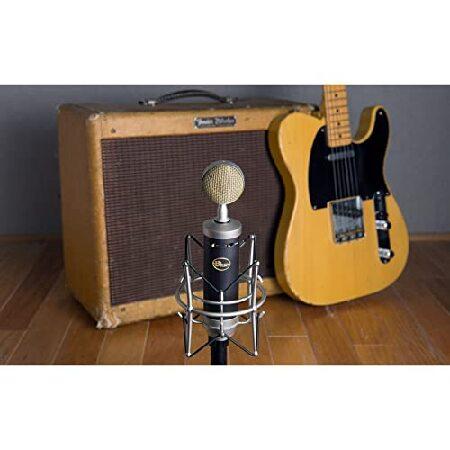 海外品 ブルーマイクロフォンベビーボトルSLラージダイアフラムコンデンサーマイク 【TMF9054750967】(32982円)