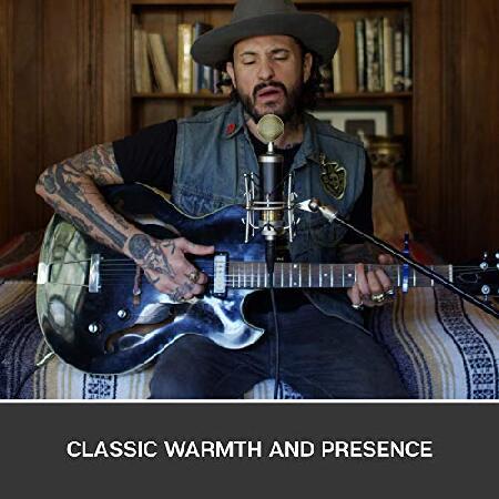 海外品 ブルーマイクロフォンベビーボトルSLラージダイアフラムコンデンサーマイク 【TMF9054750967】(32982円)