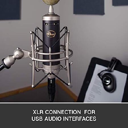 海外品 ブルーマイクロフォンベビーボトルSLラージダイアフラムコンデンサーマイク 【TMF9054750967】(32982円)