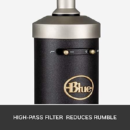 海外品 ブルーマイクロフォンベビーボトルSLラージダイアフラムコンデンサーマイク 【TMF9054750967】(32982円)