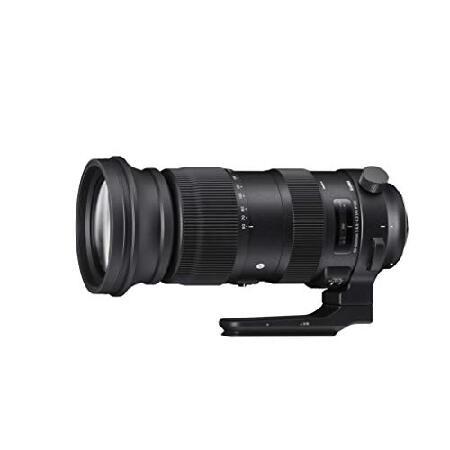 Sports 60-600mm F4.5-6.3 DG OS HSM Canon EFマウント : World