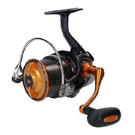 ダイワ　19 キャスティズム　25 15PE ダイワ(DAIWA) スピニングリール(投げ・遠投) 19 キャスティズム 25