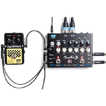 EBS MicroBass 3 マイクロベース3 : World Importer - 通販 - Yahoo