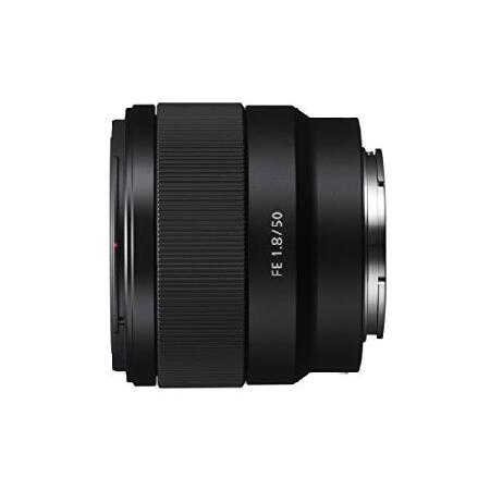 Sony - FE 50mm F1.8 Standard Lens (SEL50F18F/2) : World Importer  