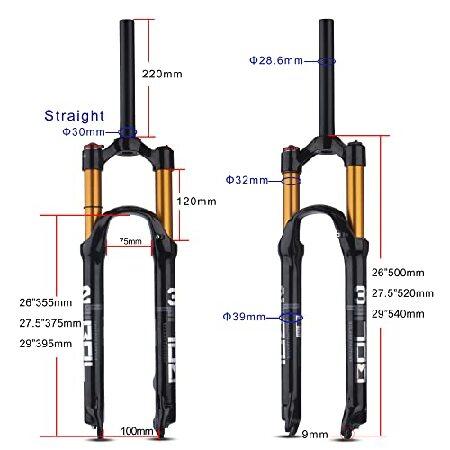 BOLANY(ボラニー) 26/27.5/29インチ MTB 自転車 マグネシウム