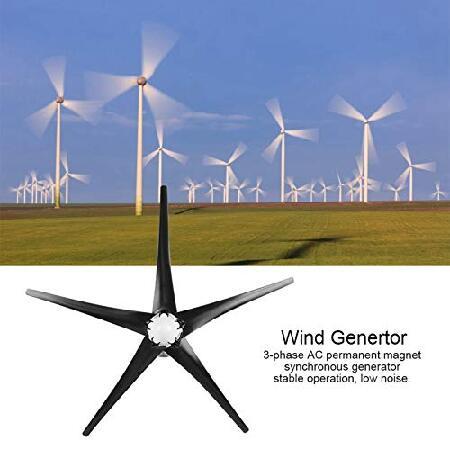 800W 風車発電機 5枚刃 小型風力タービンキット 産業エネルギー機器 (ブラック 12V)｜wolrd｜06