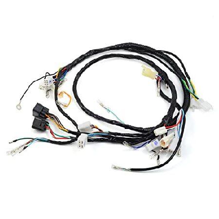 Ignition Coil Switch CDI Relay Wire Harness For Yamaha Warrior - Foto 5