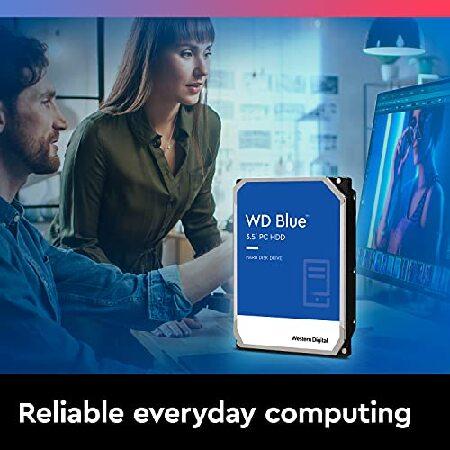 Western Digital 8TB WD ブルー PC ハードドライブ HDD - 5640 RPM SATA 6 Gb/s 128 MB キャッシュ 3.5インチ - WD80EAZZ｜wolrd｜03