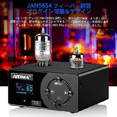 AIYIMA TUBE-T10 Bluetooth 5.0 Jan5654 TUbe 真空管プリアンプ