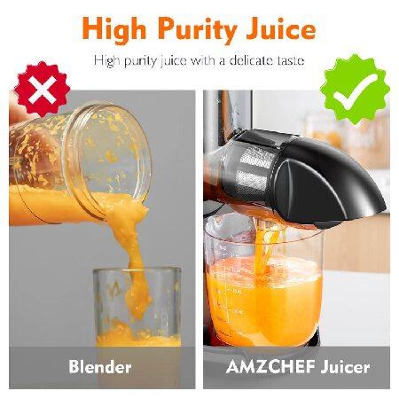 Masticating Juicer Machines, AMZCHEF Slow Cold Press with Reverse