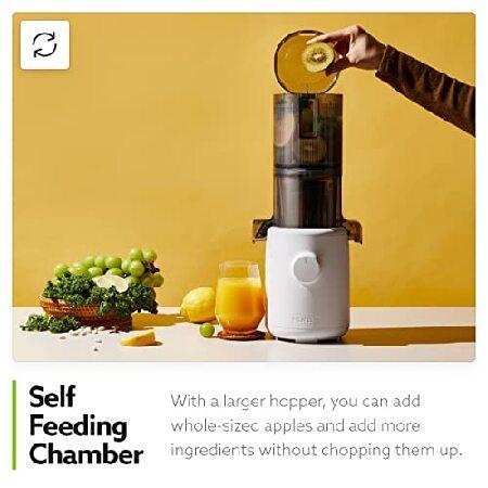 Hurom H310A Personal Self Feeding Slow Masticating Juicer (H310A Lavender)｜wolrd｜05